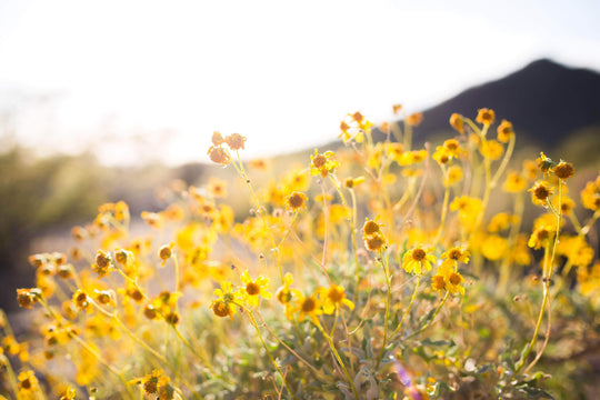 Everything You Need To Know About The March Equinox