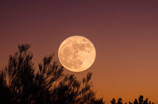 The Super Wolf Blood Moon is Coming and It’s One of Nature’s Miracles