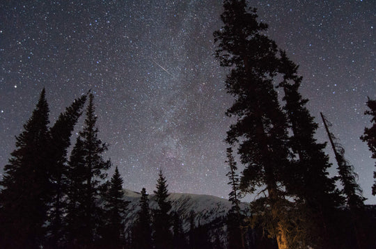 Lyrid Meteor Shower: Fast Facts About April's Celestial Show in the Sky