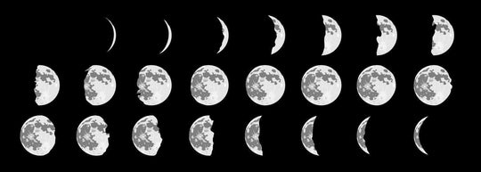 DIY Your Own Moon Phase Chart! Check Out Our Favorite Pinterest Ideas